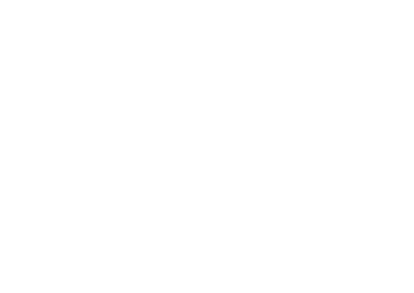 Zamecky hotel logo